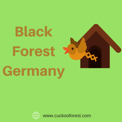 10 Must Do’s in Black Forest Germany [Infographic] 2018